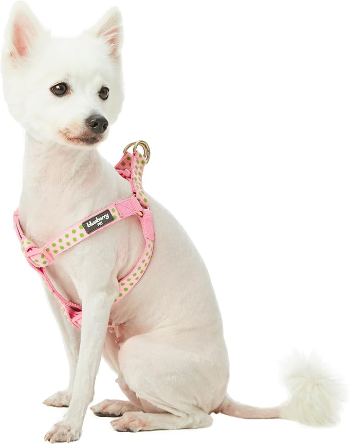 Blueberry Pet 4 Patterns Step-in Velvety Polka Dot Flocking Dog Harness in Baby Pink, Chest Girth 20" - 26", Medium, Adjustable Harnesses for Dogs