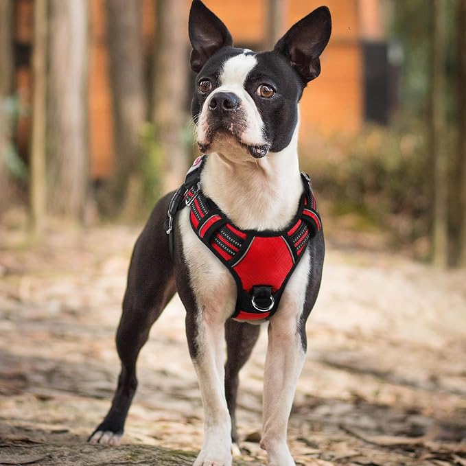 rabbitgoo Dog Harness Small Sized, No Pull 3 Buckles Easy On & Off | Soft Padded, Walking with Control Handle, Adjustable and Reflective, Red, Small