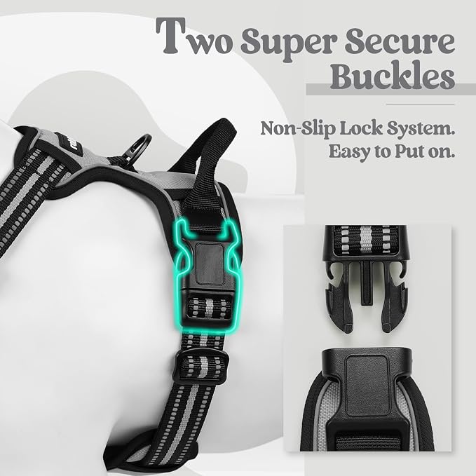 rabbitgoo Dog Harness, No Pull for Large Dogs with 2 Leash Clips, Pet Vest | No Choke with Handle, Adjustable Soft Padded, Reflective, Easy Control for Walking, Gray, X-Large
