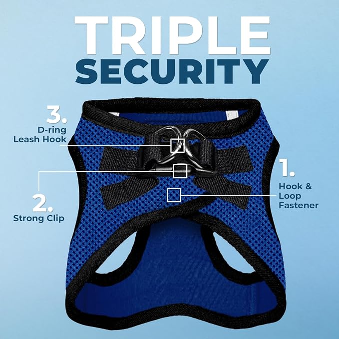 Best Pet Supplies Voyager Step-in Air All Weather Mesh Harness and Reflective Dog 5ft Leash Combo with Neoprene Handle, for Small, Medium and Large Breed Puppies - Royal Blue/Black Trim, X-Large