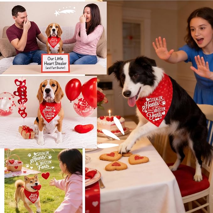 Reversible Dog Bandanas for Valentine's Day, Large, 1-Pack, Medium