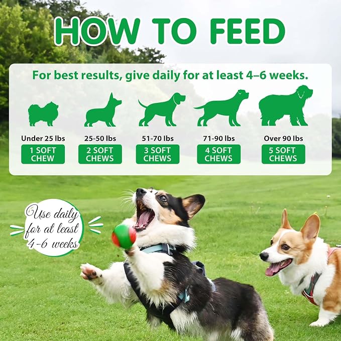 Probiotics for Dogs Chews – Digestive & Gut Health Support, Helps Maintain Stool Quality & Balance During Food Changes, with Prebiotics & Enzymes, Chicken Flavor, 120 Soft Chews