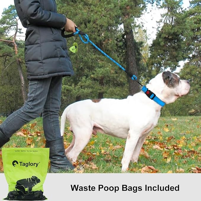 Taglory Rope Dog Leash for Medium Large Dogs, 6 FT Padded Handle, Blue | Climbing Rope for Strong Pullers, Reflective for Night Walks and Training, Comfortable Grip, Anti-tangle Swivel Clip 1/2 inch
