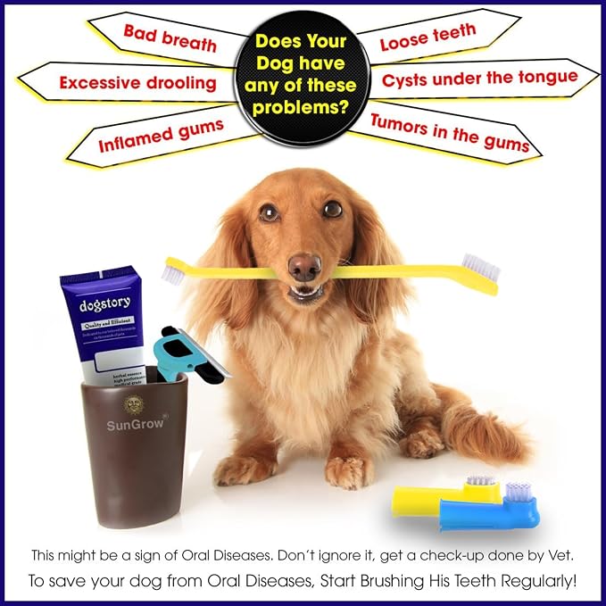 SunGrow Dog Toothbrush Set, Dual-Headed Brush, 2 Bonus Finger Brushes Included, Removes Plaque, freshens Dog's Breath, Use with Dog Toothpaste, 3 Pcs