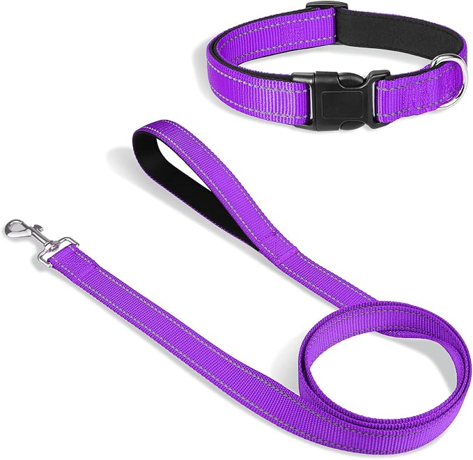 Joytale Dog Collar Bundle with 5FTx3/4 Width Double-Sided Reflective Dog Leash,5FT Nylon Dog Leashes with Nylon Dog Collar for Small Dogs,Purple
