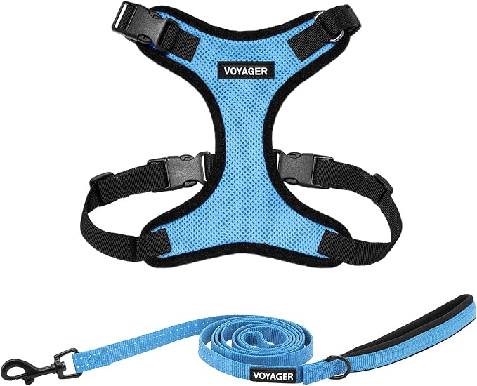 Best Pet Supplies Voyager Step-in Lock Pet Harness w Reflective Pet Leash Combo Set with Neoprene Handle 5ft - Supports Small, Medium and Large Breed Puppies/Cats - Baby Blue/Black Trim, XS
