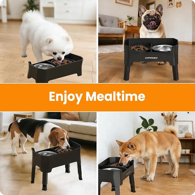 URPOWER 3-in-1 Elevated Dog Bowls - Mess Proof Double Deck 4 Height Adjustable Raised Stand with 2 Stainless Steel Food Bowls & Licking Plate for Small, Medium Dogs