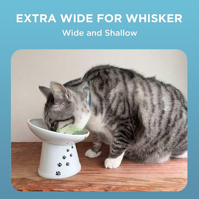 Necoichi Raised Cat Food Bowl – Ceramic Elevated 15° Tilted Cat Bowl for Whisker & Neck Fatigue, Dishwasher Microwave Safe Non-Slip Anti Vomiting Ergonomic Design (Extra Wide Tilted, 1.5-Cup Capacity)