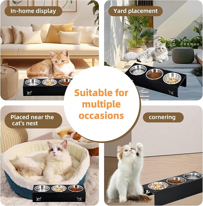 Elevated Cat Food Bowls - 15° Tilted Stainless Steel Cat Bowls, Anti Vomiting Raised Pet Feeder with Non-Slip Metal Base for Indoor Cats, 3 Bowl Set