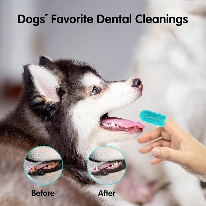 Dog Tooth Brushing Kit, Dog Finger Toothbrush, Soft Silicone Dogs Finger Toothbrush for Small Breed Care for Home Use Teeth Cleaning & Hygiene