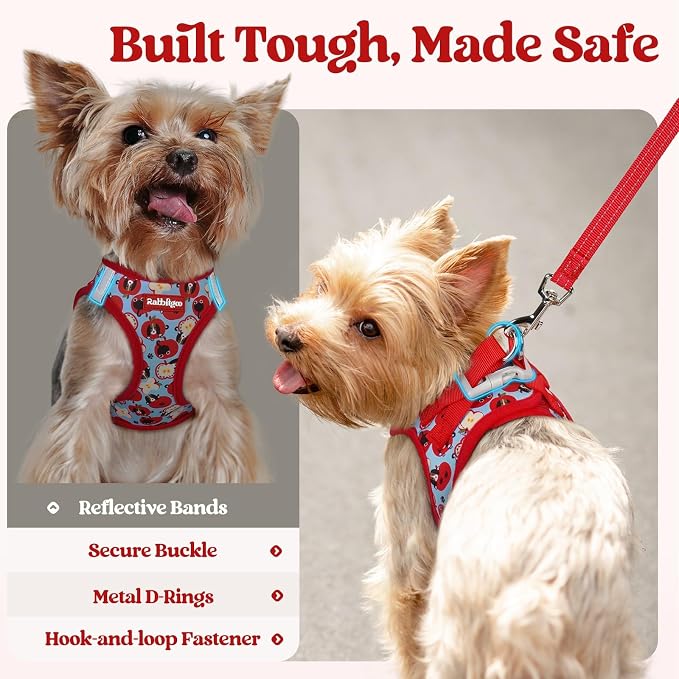 rabbitgoo Dog Harness Small Sized and Leash Set, Step-in Puppy Pet Vest | Light, Soft, Breathable Air Mesh, Easy on and Remove with Hook & Loop, Secure Reflective for Walking, Apple Pups XXS
