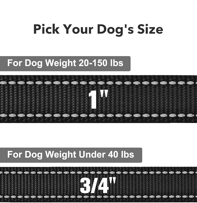 Taglory Reflective Dog Leash for Small Dogs, 3/4in x 6ft, Black | Ideal for Night Walking, Strong for Sudden Pulls, Lightweight & Gentle on the Neck, Soft Padded Handle