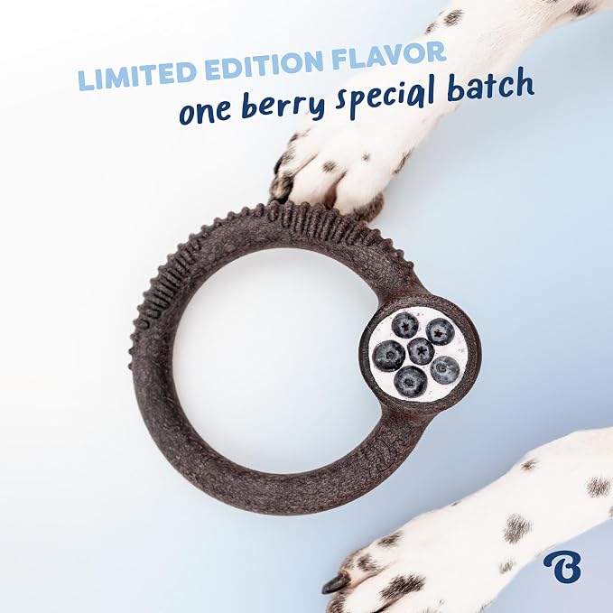 Benebone Ring Dog Chew Toy for Aggressive Chewers, Blueberry, Small | Durable, Super Chewer, Dog Bones, Long-Lasting, A Size for Every Dog, Keeps Them Busy