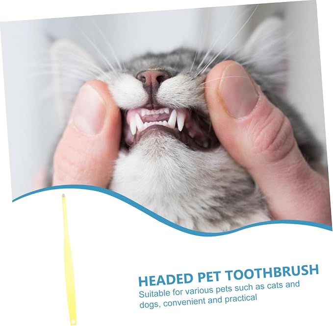 Soft Mini Head PET Toothbrush for Dogs and Cats Long Handle Oral Cleaning Tool Gentle Bristles for Small Breeds and Kittens for Regular Oral Hygiene