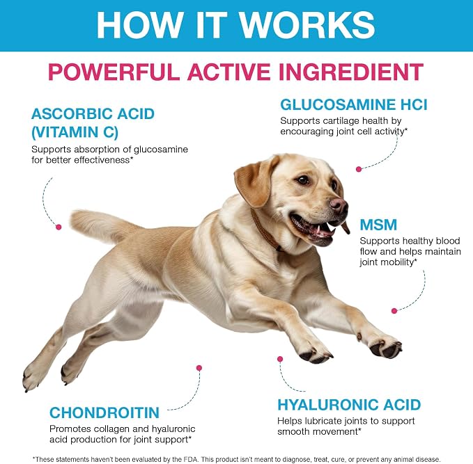 Pain Relief for Dogs, Hip & Joint Glucosamine Drops, Chondroitin Drops for Dogs, Natural Formula with Essential Nutrients for Active & Aging Dog, 60ml