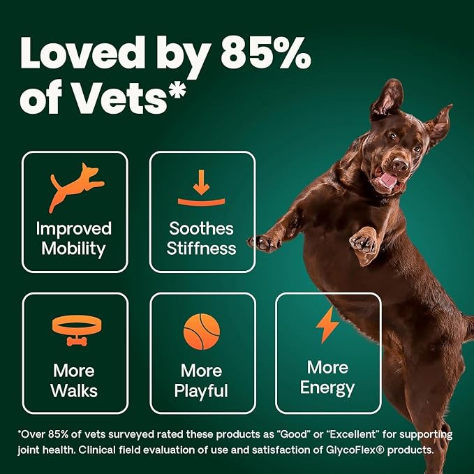 VetriScience Healthy Hip & Joint Chews, GlycoFlex Glucosamine and Green-Lipped Mussel Joint Support Supplement for Dogs, Promote Mobility and Protect Joints, Chicken, 120 Count