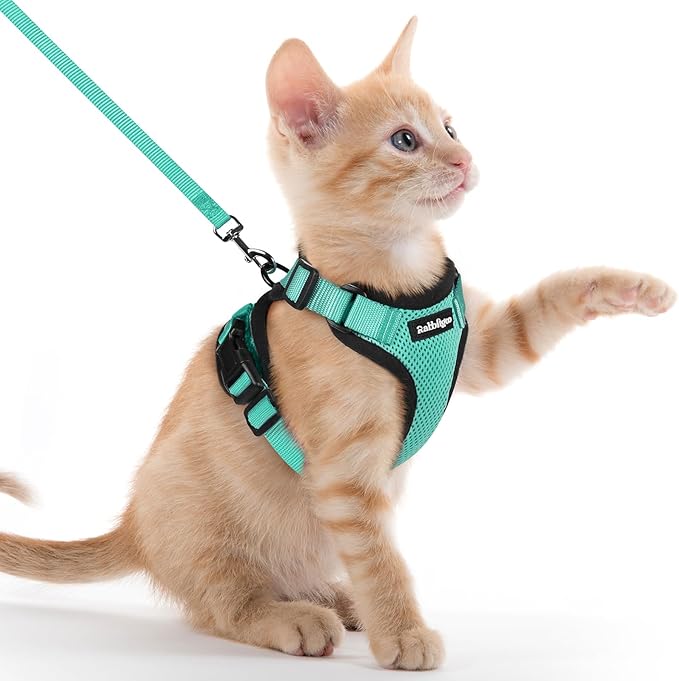 rabbitgoo Cat Harness and Leash Set, Escape Proof Vest, Emerald | Soft Breathable Mesh, Easy Adjustable Fit, Snap Buckles, Sturdy Clip, Reflective Strips, for Kittens & Small Cats Walks, Xxs