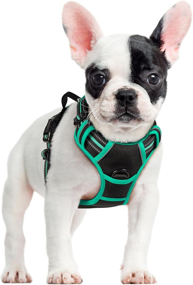 rabbitgoo Dog Harness, No Pull for Small Dogs with 2 Leash Clips, Pet Vest | No Choke with Handle, Adjustable Soft Padded, Reflective, Easy Control for Walking, Black & Turquoise, Small