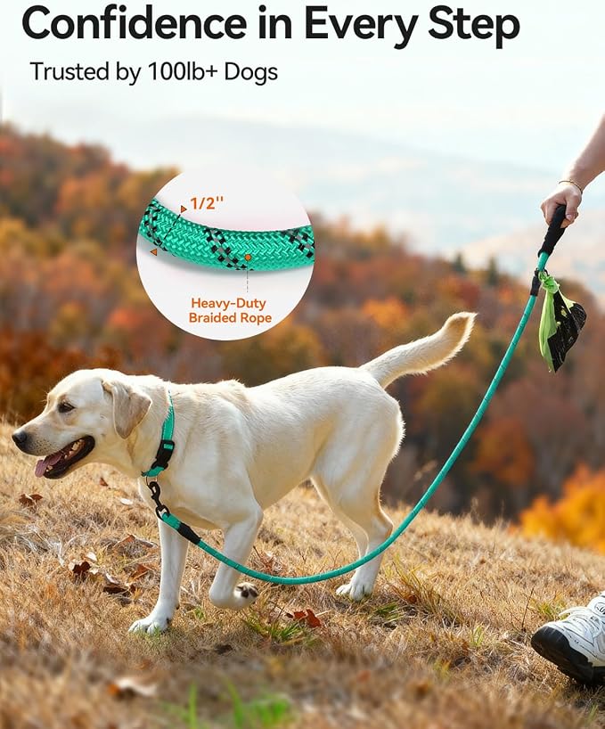 Joytale Rope Dog Leash for Medium Large Dogs, Padded Handle, 6FT, Turquoise | Reinforced Nylon Webbing, Comfort Grip Eases Hand Strain, Swivel Clip Prevents Tangles, Visible at Night, for Outdoor Walks