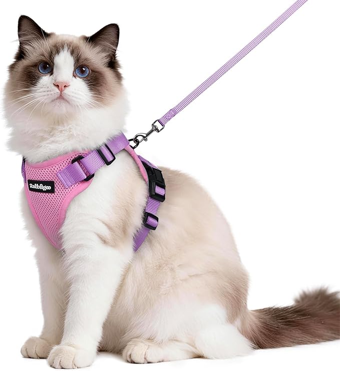 rabbitgoo Cat Harness and Leash Set, Escape Proof Vest, Pink & Light Purple | Soft Breathable Mesh, Easy Adjustable Fit, Snap Buckles, Sturdy Clip, Reflective Strips, for Medium to Large Cats Walks, M