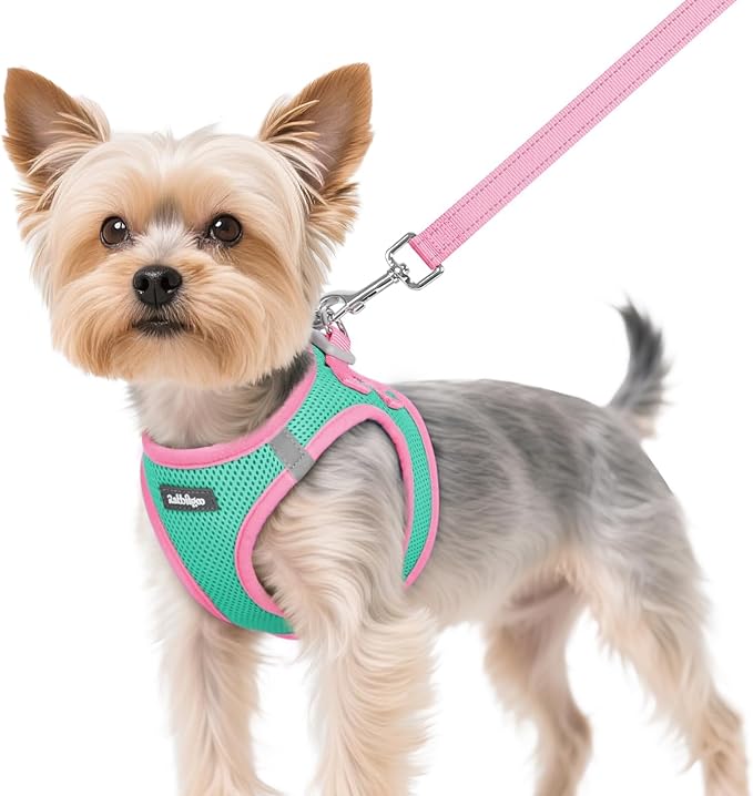 rabbitgoo Dog Harness Small Sized and Leash Set, Step in Soft Vest | Breathable Mesh, Easy Wear with Hook & Loop, Light and Reflective for Walking, Multi-colored, Teal & Pink, XS