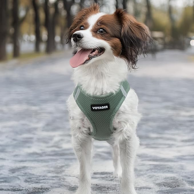 Voyager Step-in Air Dog Vest Harness - Moss Green, XXX-Small | 11 - 12" in Chest, Reflective Bands, All Weather Breathable Air Mesh, Cats Compatible, Lightweight, Fast Drying