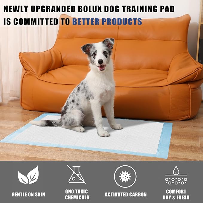Dog and Puppy Training Pads， Disposable Dog Pee Pads (50, 13"*18" (33*45cm))