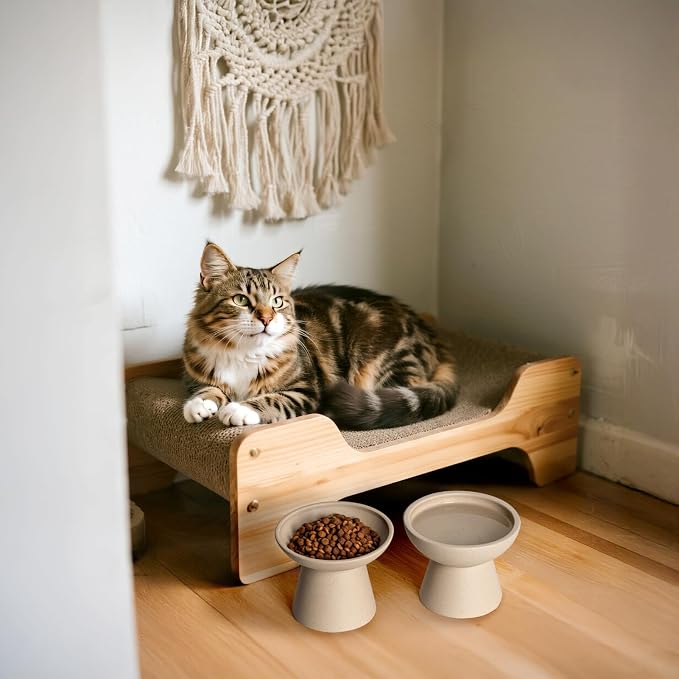 CEEFU 2 Elevated Cat Bowls Extra Wide for Food & Water – Whisker Fatigue, Ceramic Wide Shallow Food Dish, Lead & Cadmium Free, Raised Height for Cats, Pottery Clay (Not Glazed)