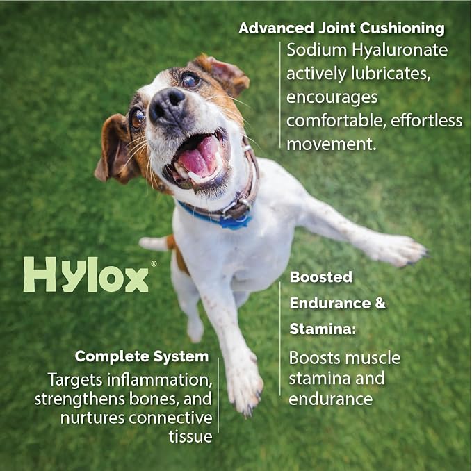 Hylox Soft Chews for Dogs – Joint Support with Glucosamine, MSM, Creatine, Hyaluronic Acid, Turmeric, EPA & DHA – Supports Joints & Cushions Connective Tissues – NASC Certified – 120 Soft Chews