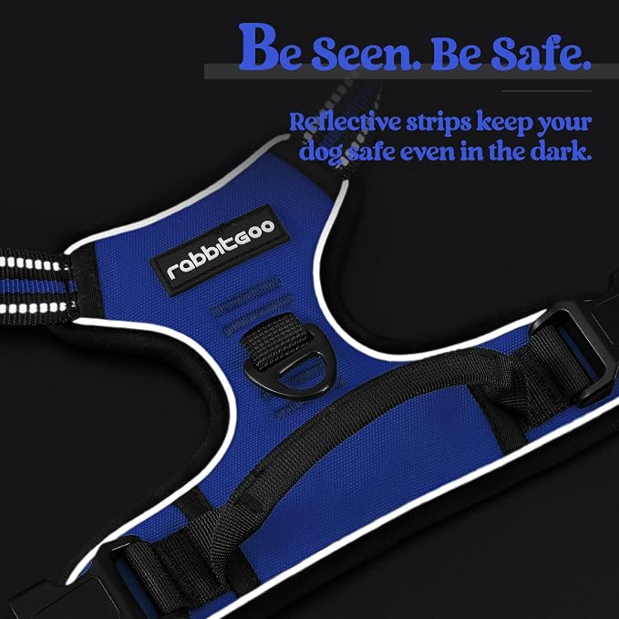 rabbitgoo Dog Harness, No Pull Medium Sized with 2 Leash Clips, Pet Vest | No Choke with Handle, Adjustable Soft Padded, Reflective, Easy Control for Walking, Dazzling Blue, Medium