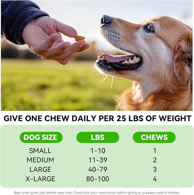 Probiotics for Dogs – Digestive & Immune Support Soft Chews with Prebiotics, Fiber & Enzymes – Relieves Diarrhea, Gas & Itchy Skin – Chicken Flavor Dog Supplement, 120 Chews