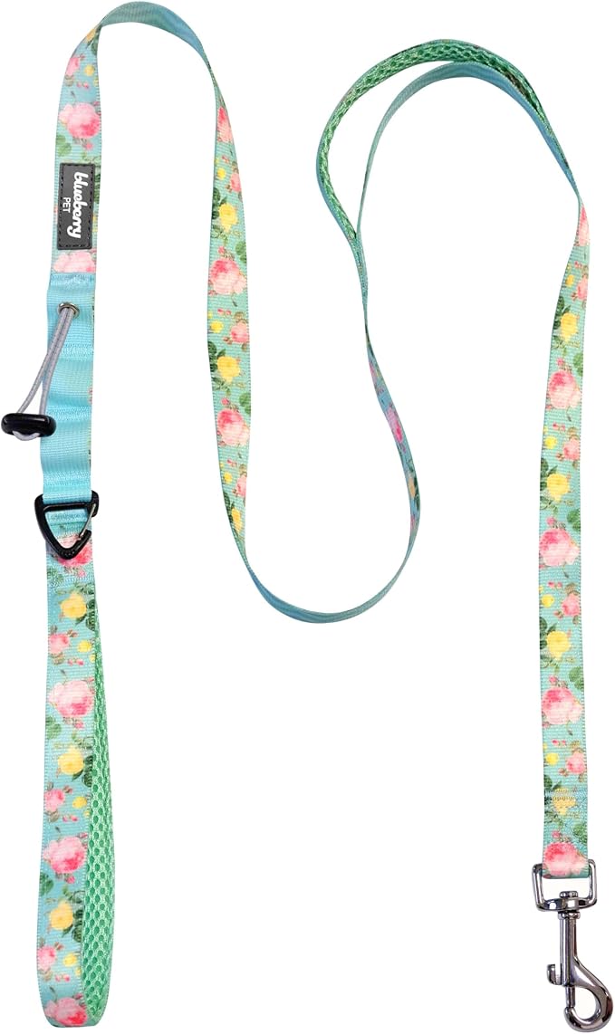 Blueberry Pet Rose Garden Dog Leash, Mint Green Floral Print, 5 ft x 5/8”, Small, Leashes for Dogs