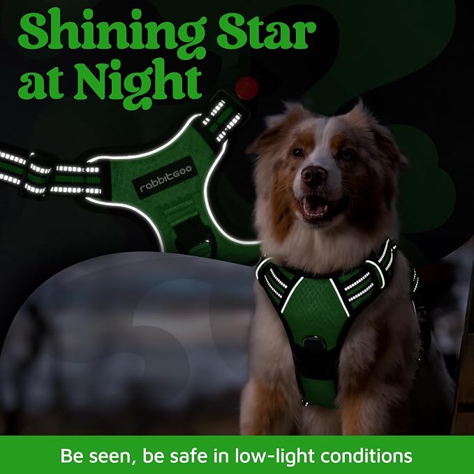 rabbitgoo Dog Harness for Large, No Pull 3 Buckles Easy On & Off | Soft Padded, Walking with Control Handle, Adjustable and Reflective, Green, X-Large