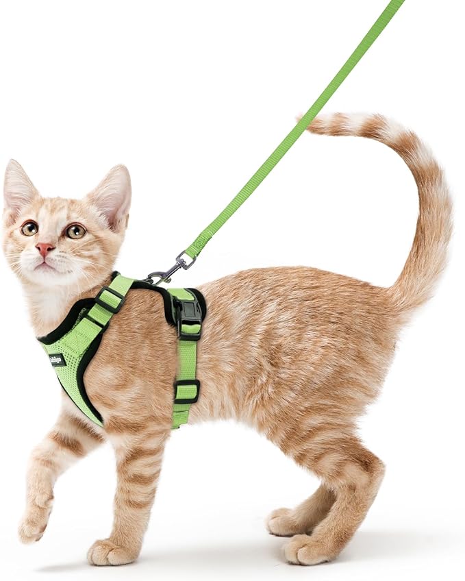 rabbitgoo Cat Harness and Leash Set, Escape Proof Vest, Light Green | Soft Breathable Mesh, Easy Adjustable Fit, Snap Buckles, Sturdy Clip, Reflective Strips, for Small & Average Cats Walks, Xs