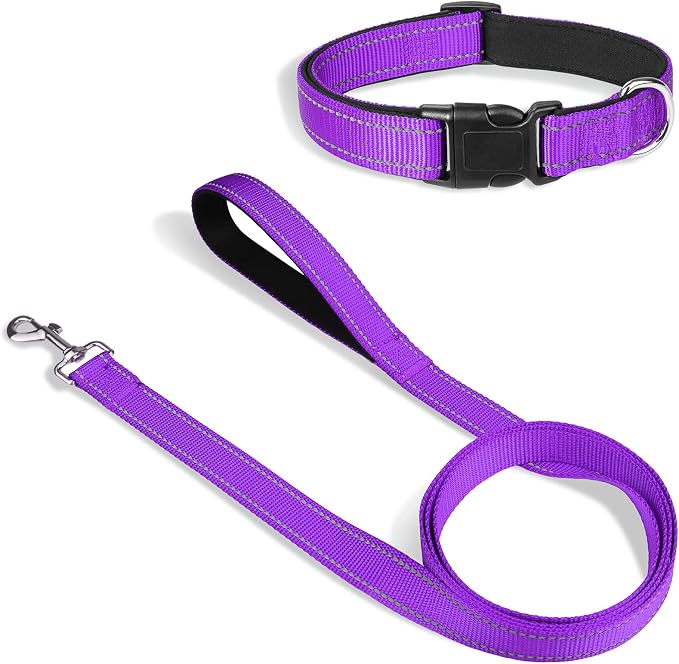 Joytale 12-16 inches Dog Collar and 6FT Leash, Reflective Soft Neoprene Padded Pet Collars and Leashes for Small Dog