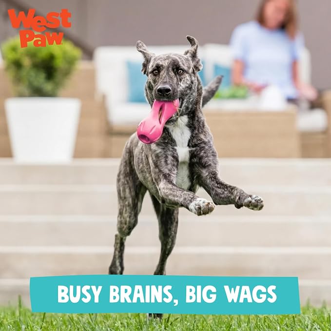 WEST PAW Qwizl Durable Zogoflex Dog Puzzle Toy for Mental Stimulation, and Enrichment - Treat Dispensing for Bully Sticks and Dental Sticks - Dishwasher Safe - Made in USA - Small - Teal