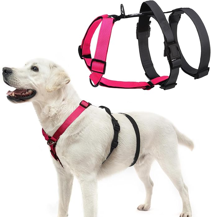 PUPTECK Escape Proof Dog Harness - No Pull Soft Padded Full Body Pet Halter Harness with Lift Handle for Small Medium Large Doggies Walking Hiking Hunting, Deep Pink & Black, XL