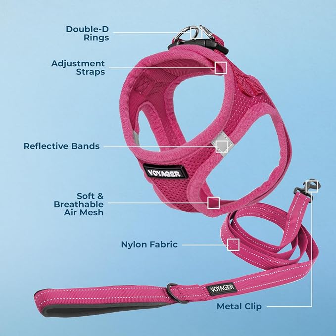 Best Pet Supplies Voyager Step-in Air All Weather Mesh Harness and Reflective Dog 5ft Leash Combo with Neoprene Handle, for Small, Medium and Large Breed Puppies - Fuchsia, XXX-Small