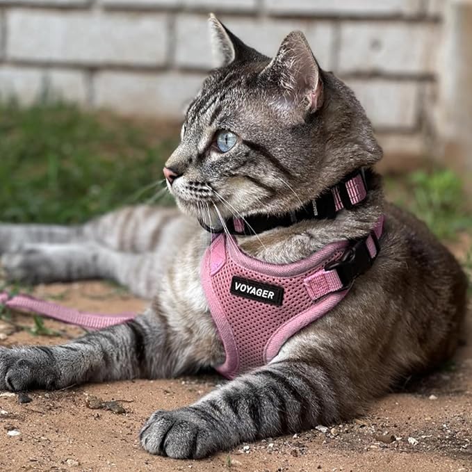 Best Pet Supplies Voyager Step-in Lock Pet Harness w Reflective Pet Leash Combo Set with Neoprene Handle 5ft - Supports Small, Medium and Large Breed Puppies/Cats - Pink, S