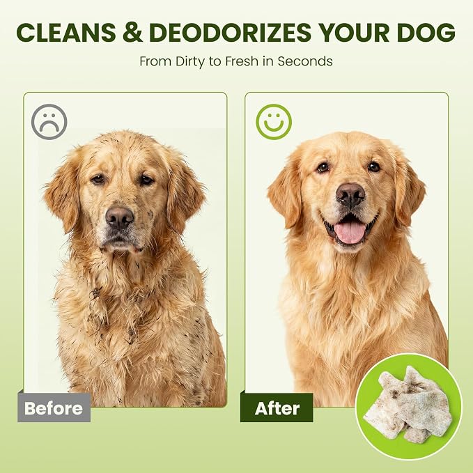 Hypoallergenic Pet Wipes for Dogs & Cats, Coconut Scented, 100 Count