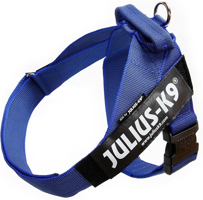 Julius-K9 IDC Color & Gray Belt Harness, Size: L/1, Blue-Gray
