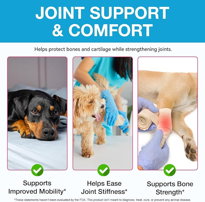 Pain Relief for Dogs, Hip & Joint Glucosamine Drops, Chondroitin Drops for Dogs, Natural Formula with Essential Nutrients for Active & Aging Dog, 60ml