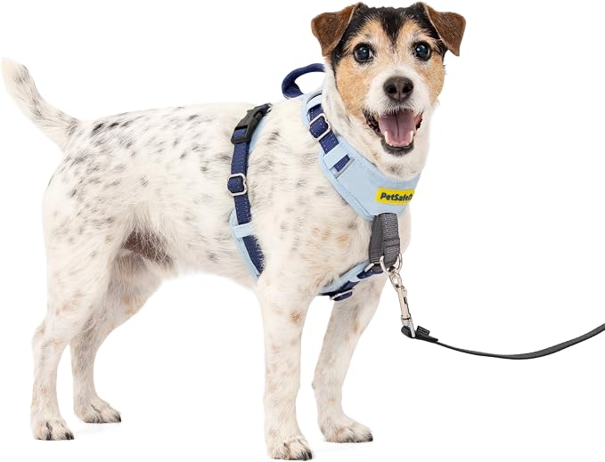 PetSafe Easy Walk Comfort No Pull Dog Harness, Blue, Small | Stops Pulling on First Use with Front Martingale Loop, Full-Body Padding, 5-Point Adjustable Fit