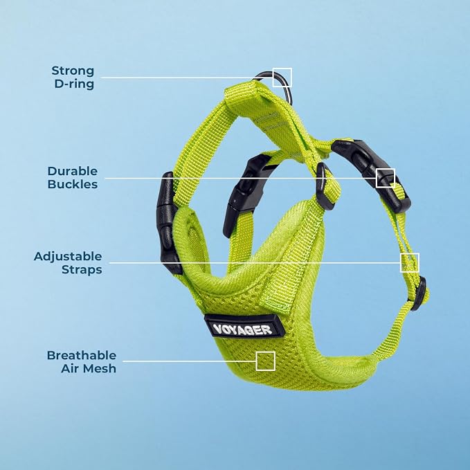 Voyager Step-in Lock Dog Harness - Lime Green, Small | 15 - 18" in Chest, Adjustable, Breathable Air Mesh, Lightweight for Daily Walks, Strong Clips, Heavy Duty D-Ring