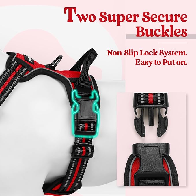 rabbitgoo Dog Harness, No Pull Medium Sized with 2 Leash Clips, Pet Vest | No Choke with Handle, Adjustable Soft Padded, Reflective, Easy Control for Walking, Red, Medium