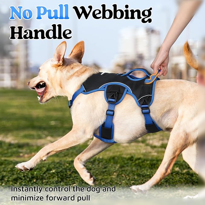 rabbitgoo Escape Proof Dog Harness for Large, No Pull with Lift Handle | No Escape, Full Soft Padded, Reflective Adjustable Vest, Leash Clip for Walking Hiking Training, Blue & Black, Large