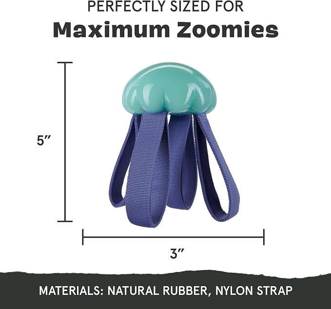 BarkBox Jelly Fetch Dog Toy - for Medium Dogs | Perfect for Tug and Fetch Play, Durable Design with Strong Nylon Straps for Long-Lasting Fun