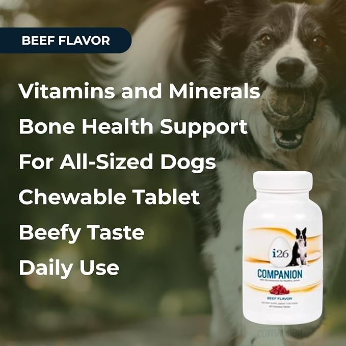 VitaminCity i26 Companion Dog Chewables with Glucosamine, Beef, 60 Tabs