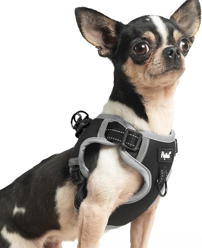 PUPTECK Dog Harness Small Sized Dog, Step in Adjustable Reflective Dog Vest Harness Escape Proof, No Pull Soft Padded Harness Easy Control, Black, XS