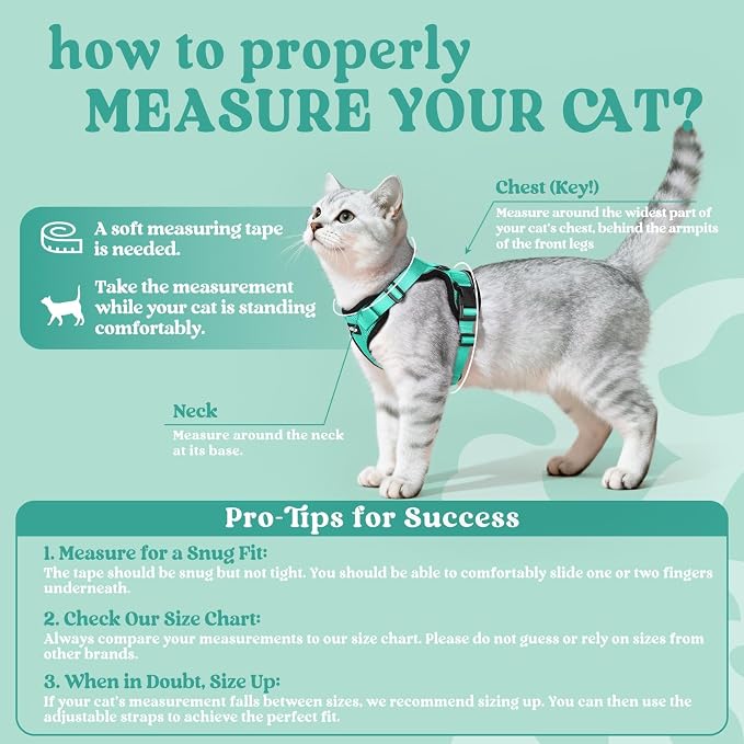 rabbitgoo Cat Harness and Leash Set, Escape Proof Vest, Emerald | Soft Breathable Mesh, Easy Adjustable Fit, Snap Buckles, Sturdy Clip, Reflective Strips, for Average Cats Walks, S